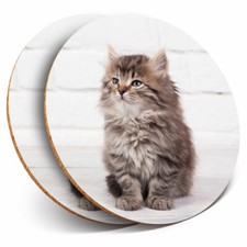 2 x Coasters - Fluffy Kitten