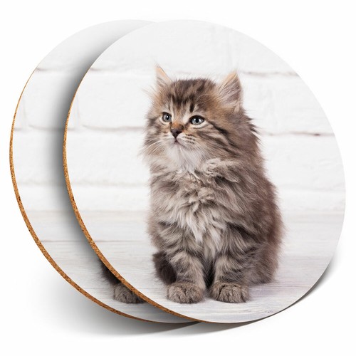 Coasters fluffy kitten - coasters,