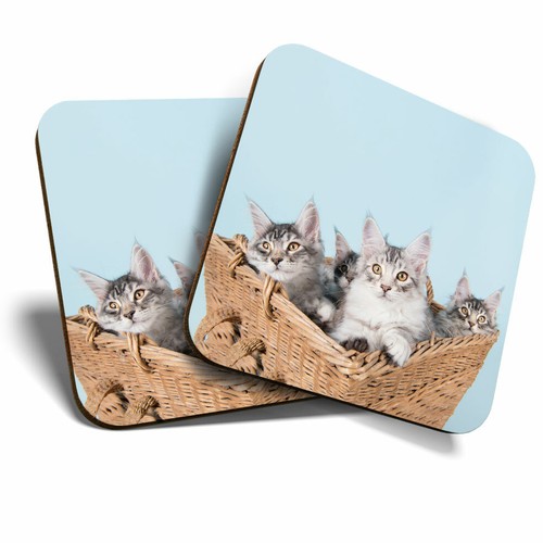Coasters cute maine coon - coasters,