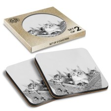 2 x Boxed Square Coasters - BW