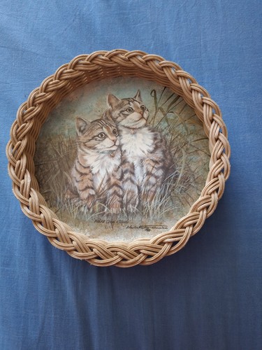 Vintage maine coon kittens - vintage,