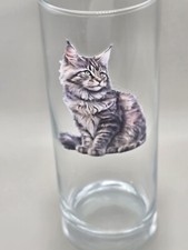 Tabby Maine Coon Cat Kitten