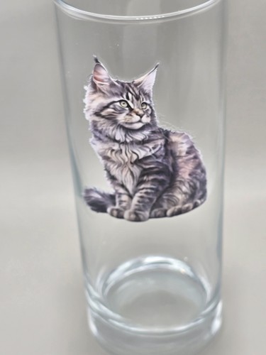 Tabby maine coon cat - tabby,