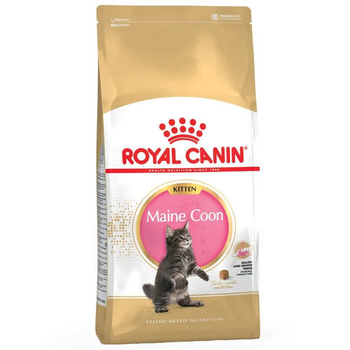 Royal canin maine coon - coon,