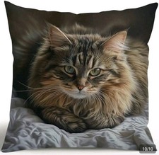 1 X Printed Maine Coon Kitten