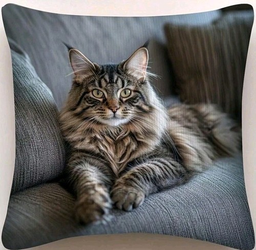 Printed maine coon kitten - printed,