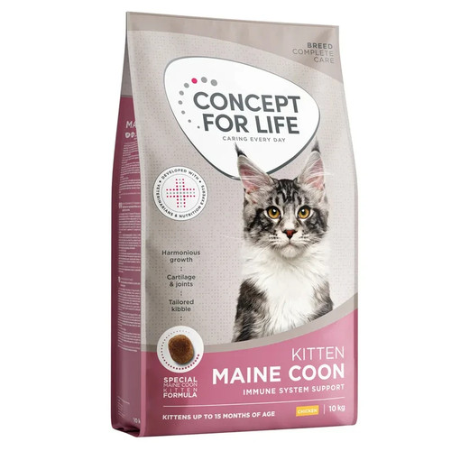 Concept for life maine coon - concept,