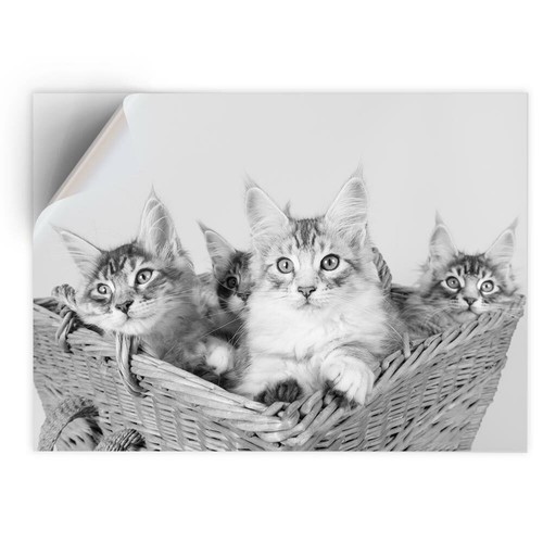 Vinyl sticker bw - sticker,