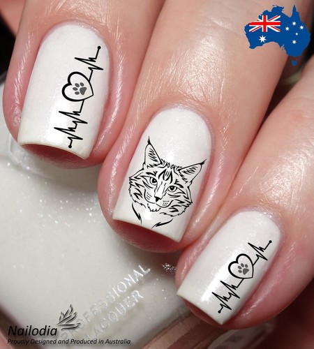 Maine coon cat - nail, art