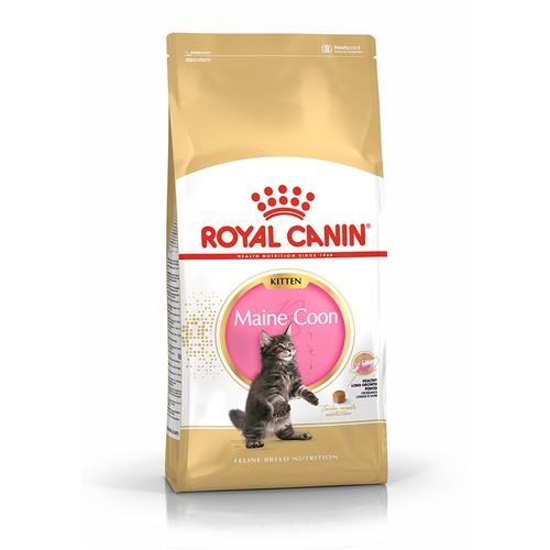 Royal canin kitten maine - |,