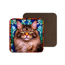 Cute Maine Coon Cat Kitten