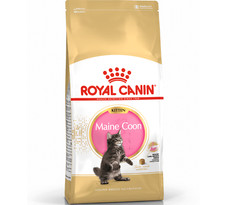 ROYAL CANIN KITTEN MAINE COON