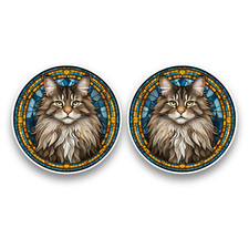 2x Small Maine Coon Cat Kitten