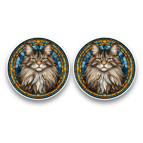 Small maine coon cat - small, kitten