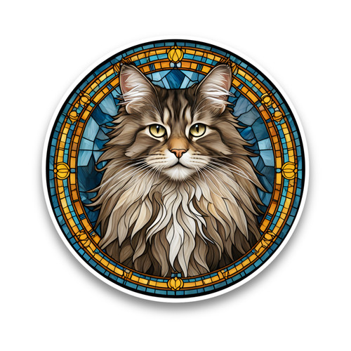 Cute maine coon cat - coon, kitten