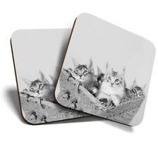 2 x Coasters (BW) - Cute Maine