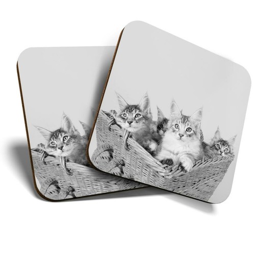Coasters cute maine - cute,