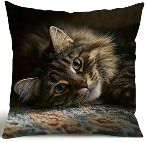 Printed maine coon kitten - maine,