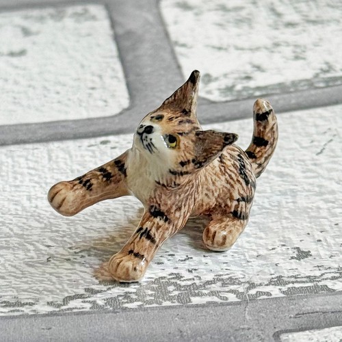 Maine coon kitten cat minifig - kitten,