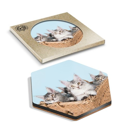 Hexagon coaster cute - hexagon,