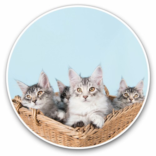 Vinyl stickers 10cm - 2,
