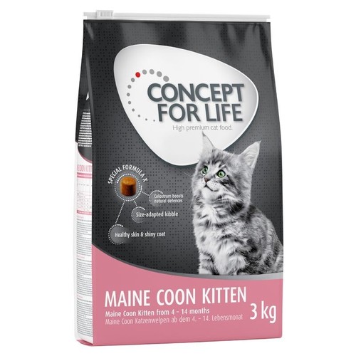 Concept for life - for, maine