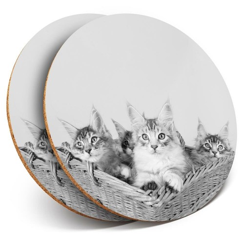 Coasters cute maine - -,