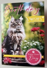 MAINE COON CUTE KITTEN CAT