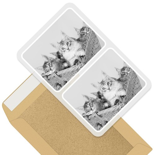 Rectangle stickers 10cm bw - x,