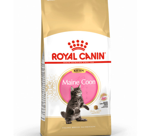 Royal canin maine coon kitten - maine,