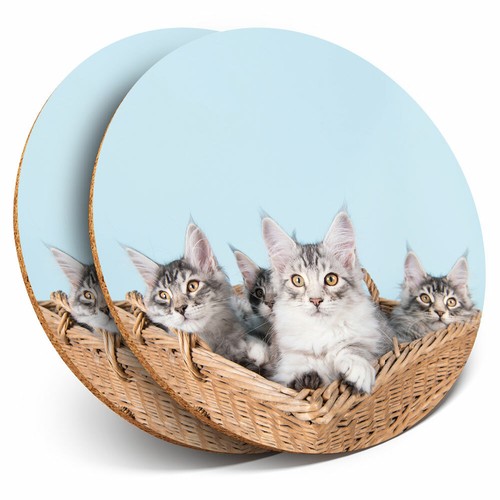 Coasters cute maine coon - coasters,