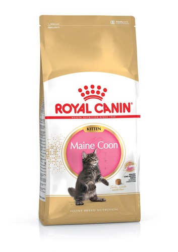 Maine coon kitten dry food - kitten,