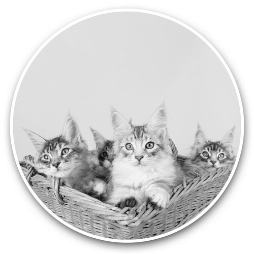 Vinyl stickers 20cm - 20cm,